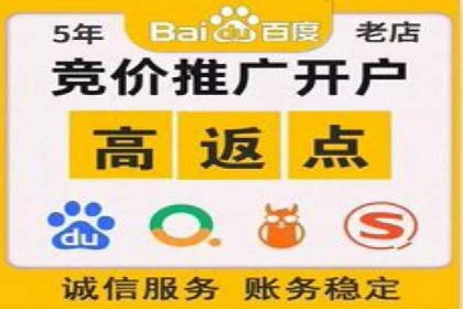 揭秘百度竞价排名：实战案例解析